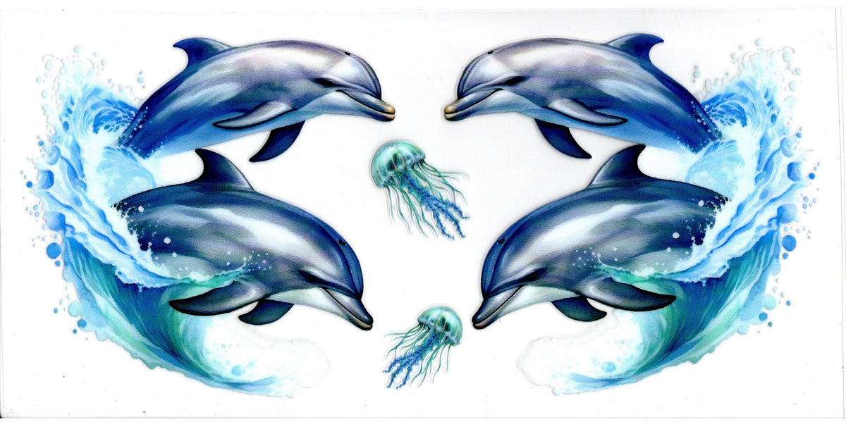 Dolphins and Jellyfish