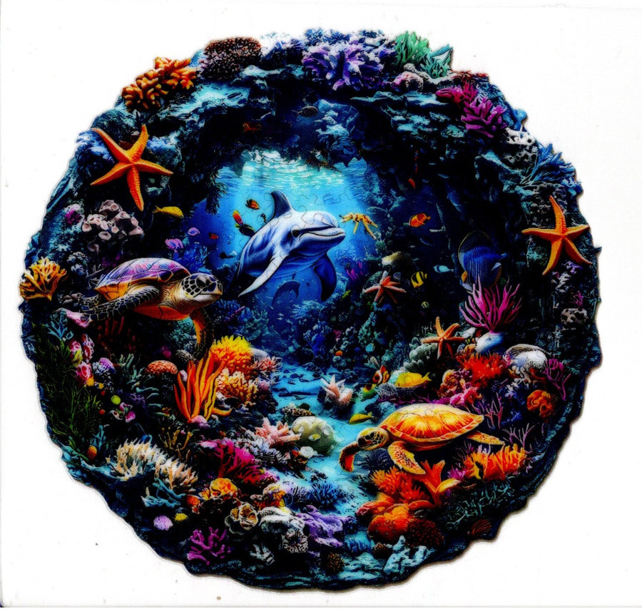 Dolphin and Sea Life
