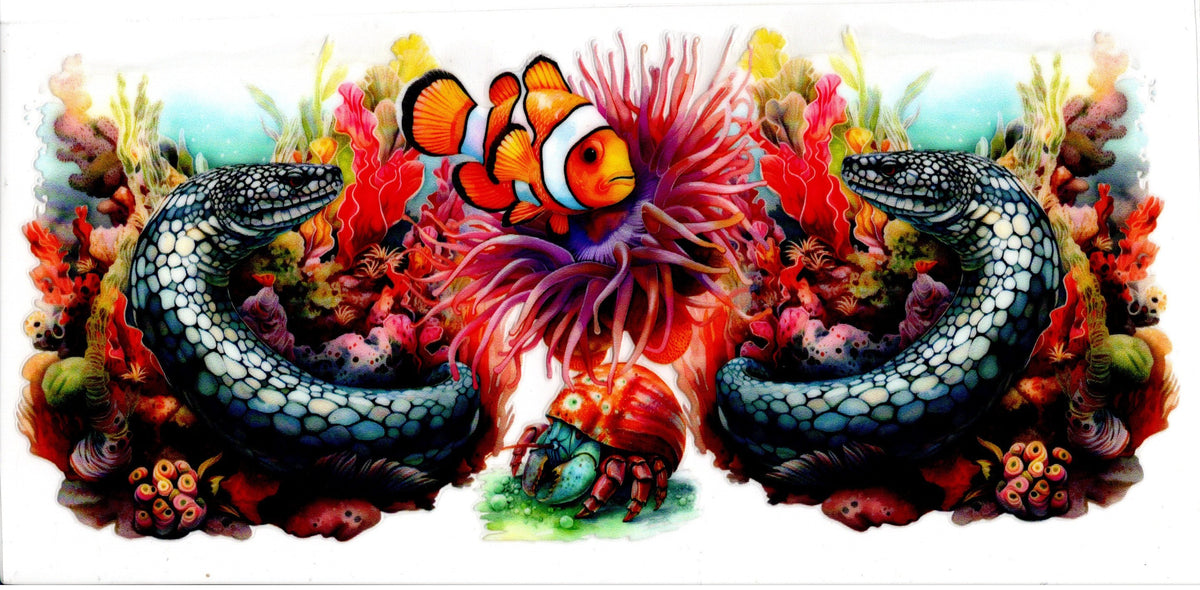 Clown Fish and Eels