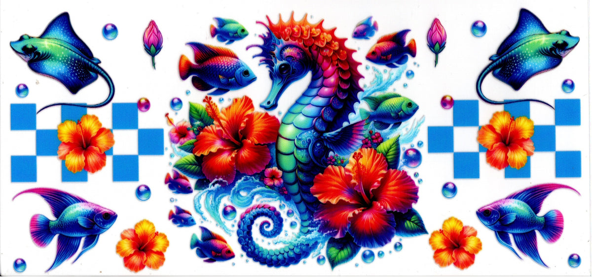 Seahorse and other Sea Life