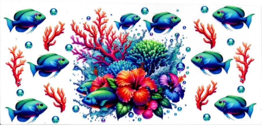 Ocean Coral and Fish