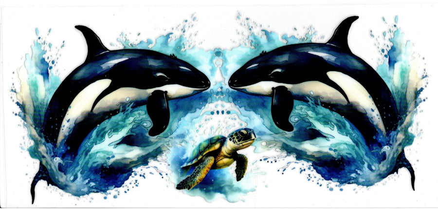 Killer Whales and Turtle