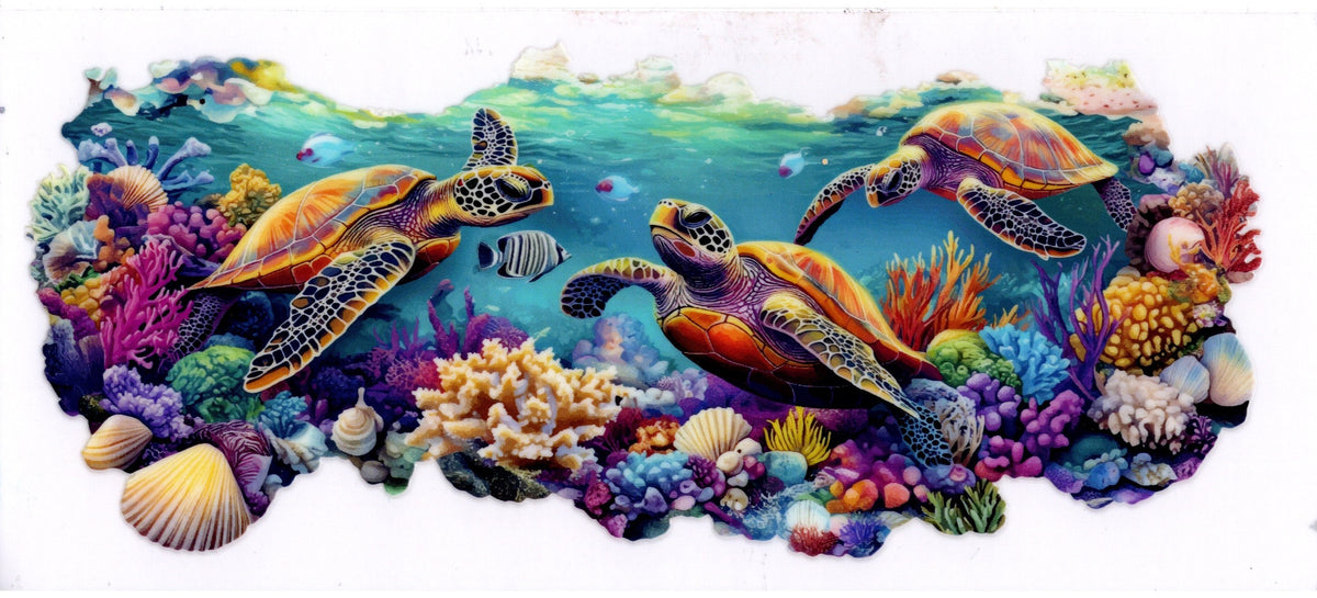 Turtles and Coral