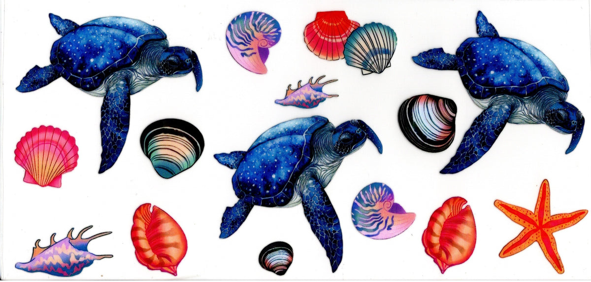Blue Turtles and Colorful Seashells