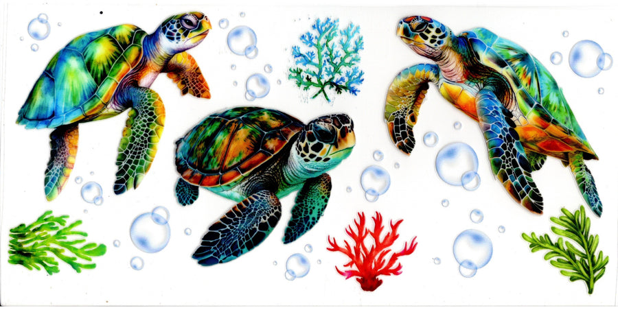 Turtles Coral and Bubbles