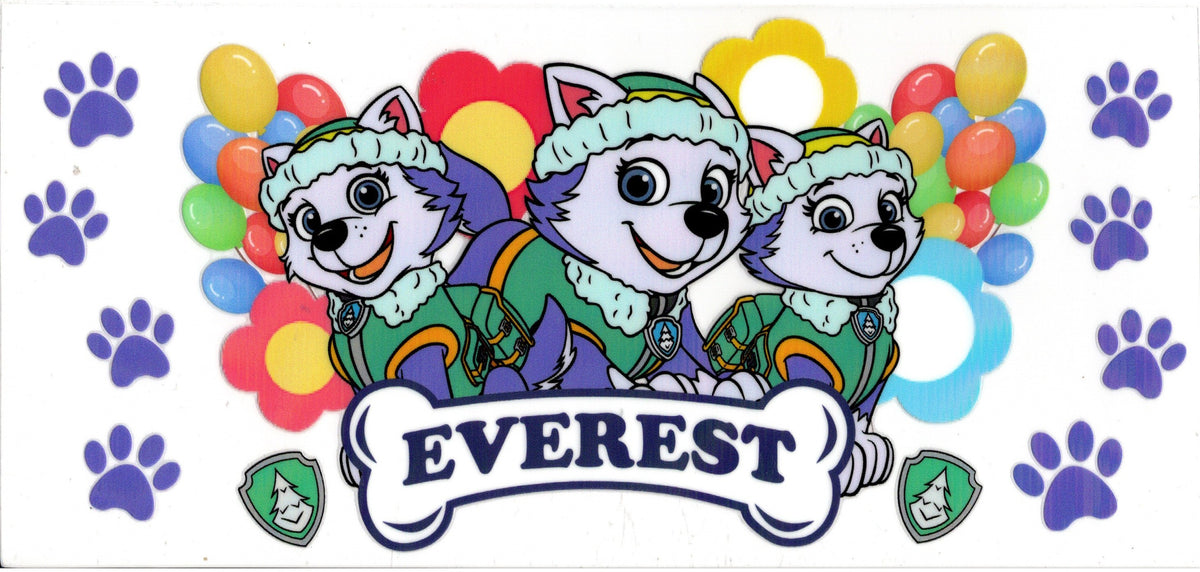 Paw Patrol ~ Everest