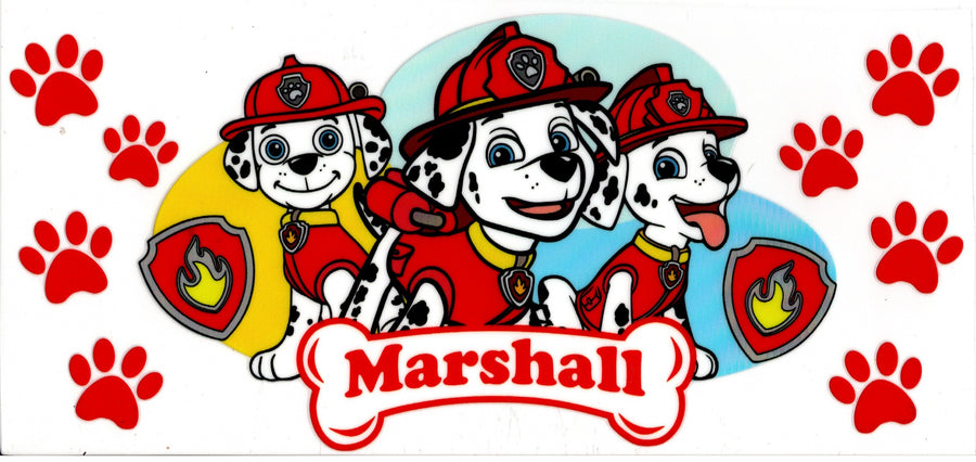 Paw Patrol ~ Marshall